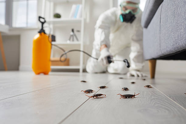 Trusted Rodent Control service in Leadville, CO - Nex Pest Control
