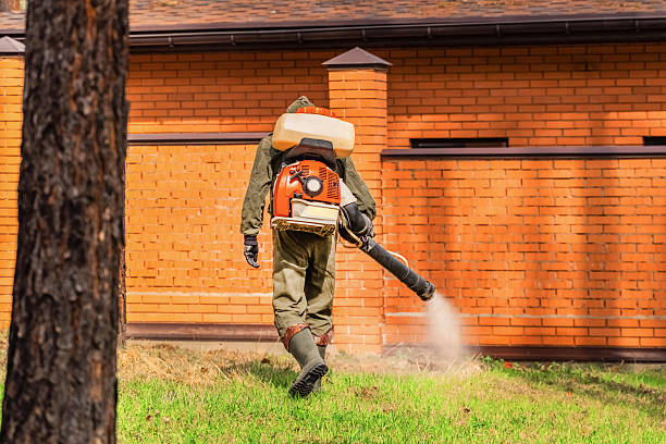 Trusted Bed Bug Control service in Leadville, CO - Nex Pest Control